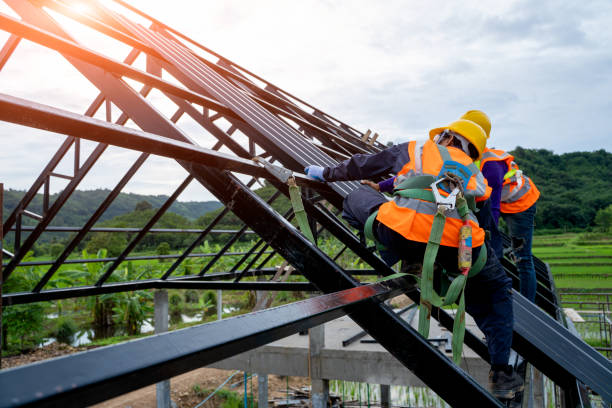 Best Gutter Installation and Roofing  in Allendale, MI