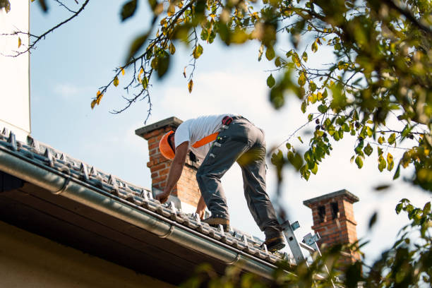 Roof Gutter Cleaning in Allendale, MI