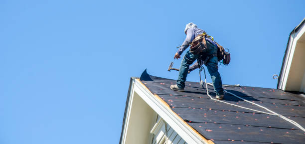 Roof Installation Near Me in Allendale, MI